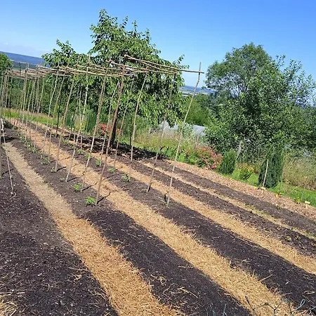 Les Jardins Des 3 Provinces- Gite Montcharvot Exterior photo